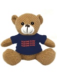 Friendly Bunch Teddy Bear Illinois